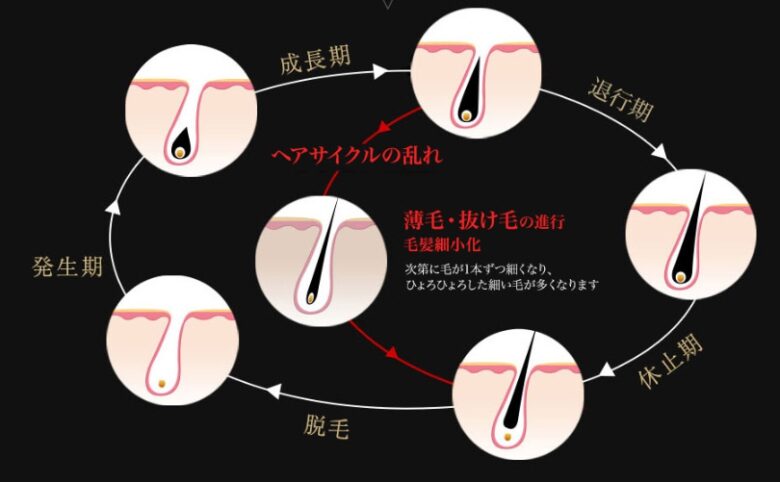 ヘアサイクル