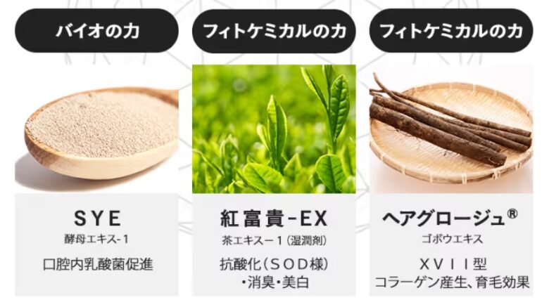 独自技術