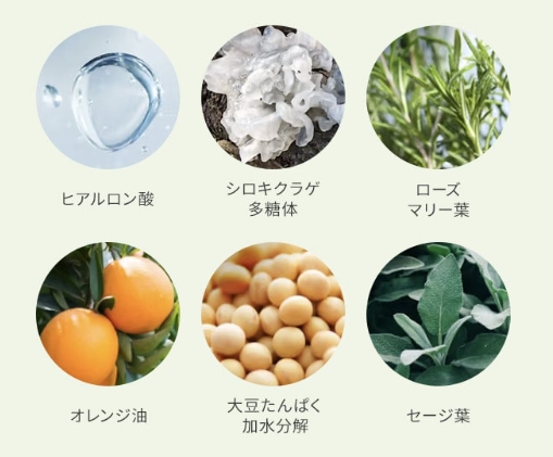 成分