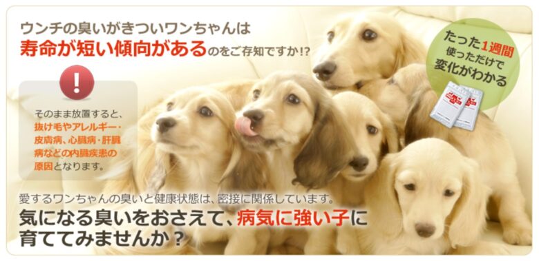 プロキュア犬用サプリ