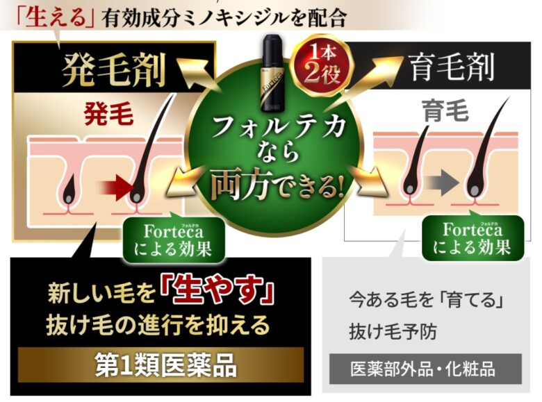 フォルテカ
