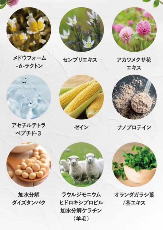 成分
