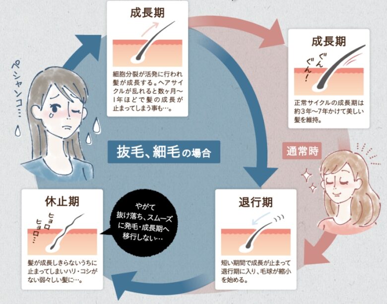 ヘアサイクル