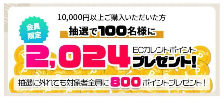 ECカレント福袋　ポイント