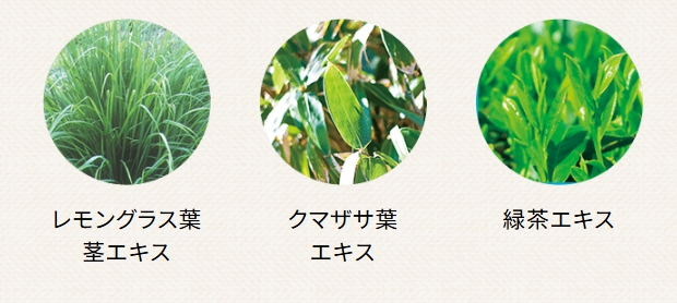 和ハッカ