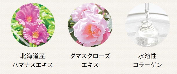 ハマナス