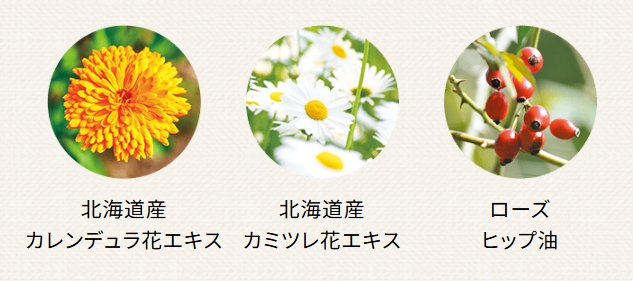 カレンデュラ