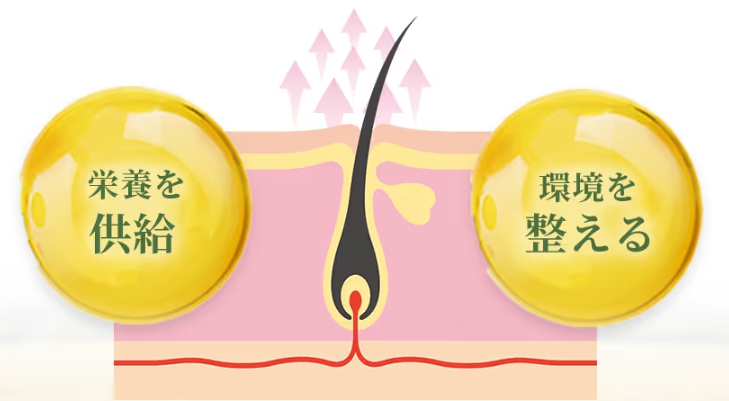 内側からアプローチ