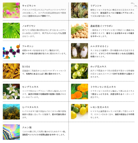 成分